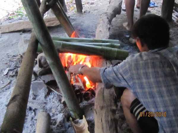 Cooking sticky rice & meat in bamboo over a fire photo