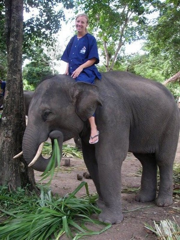 Elephant refueling photo